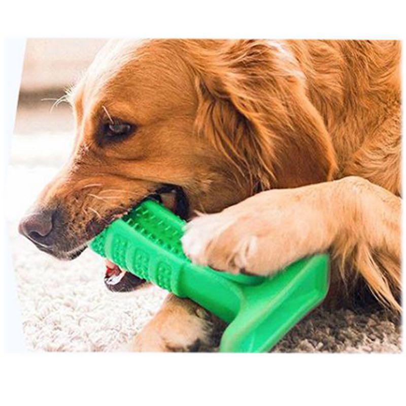 Pet Dental Care Buddy